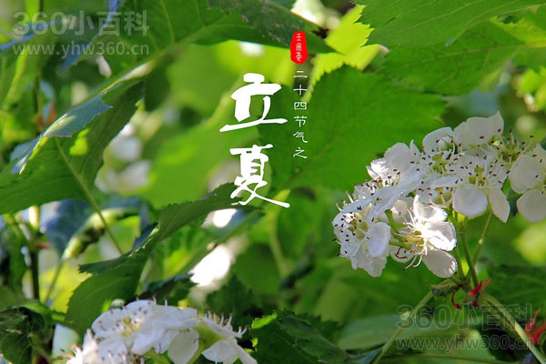 ​立夏是夏天的开始吗？节气与气象学夏季划分详解