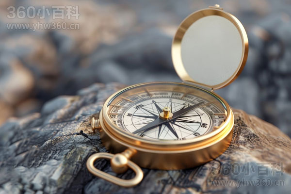天然的指南针有哪些？野外自然辨方向方法大全