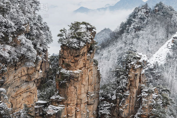 张家界是哪个省份的旅游景点？地理位置与特色景观详解