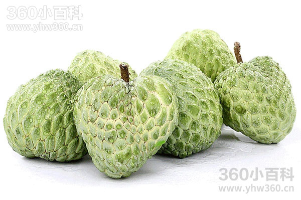 释迦果成熟季节与产地特点