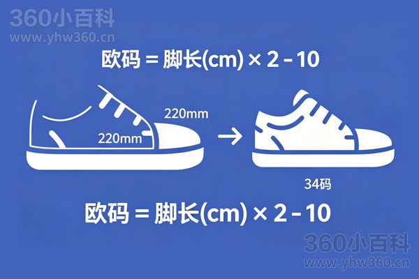 220mm鞋码对应多大？中国码与欧码换算详解